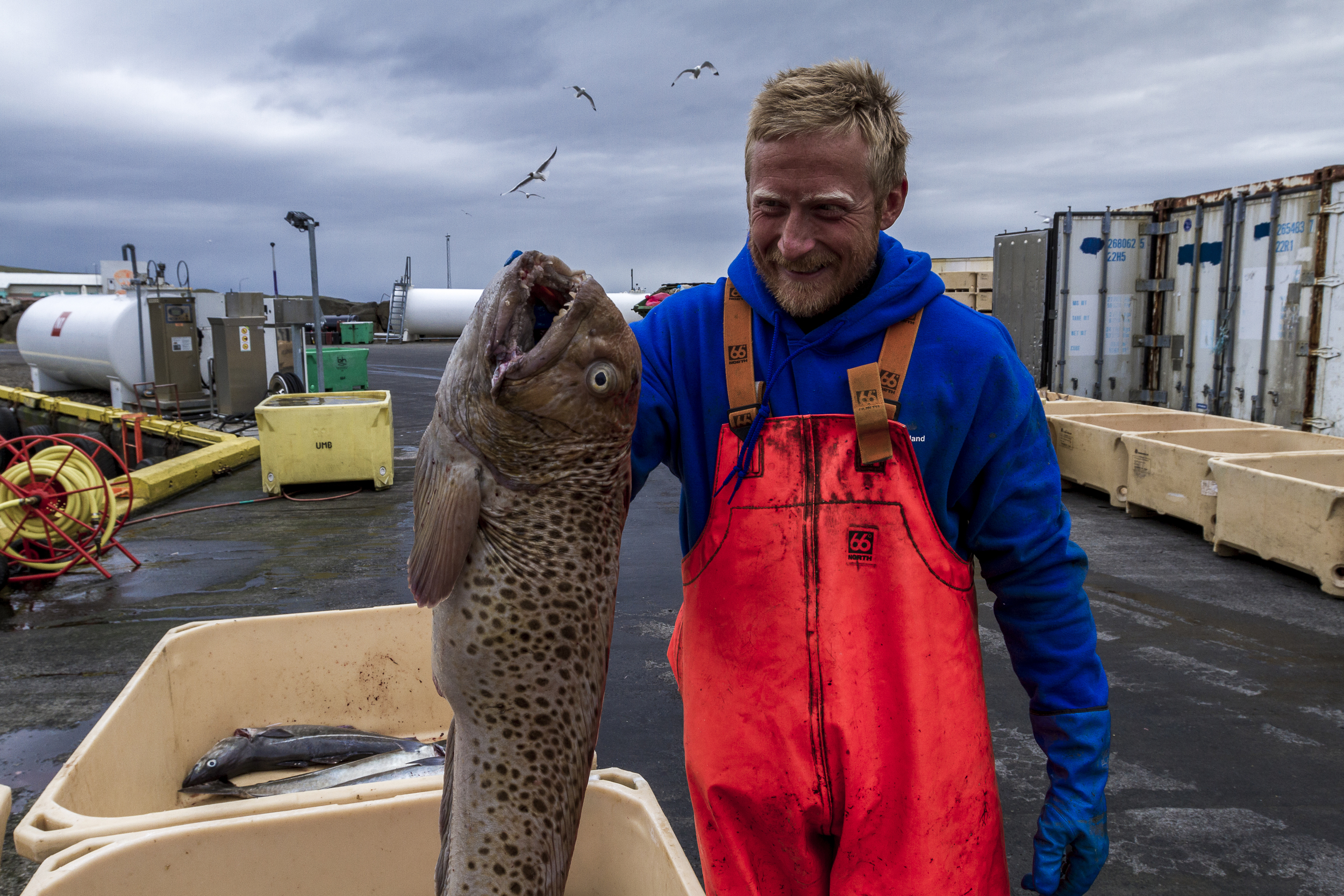More monsters from the North Sea
