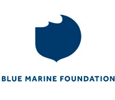 logo-bluemarine.jpg