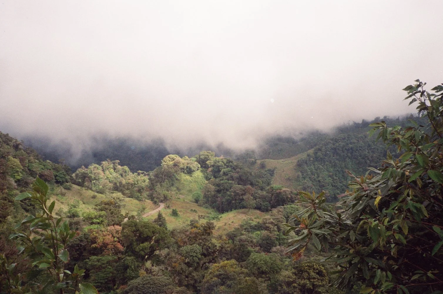 lomography_color_negative_800_01_31_2023_000106130002.jpg
