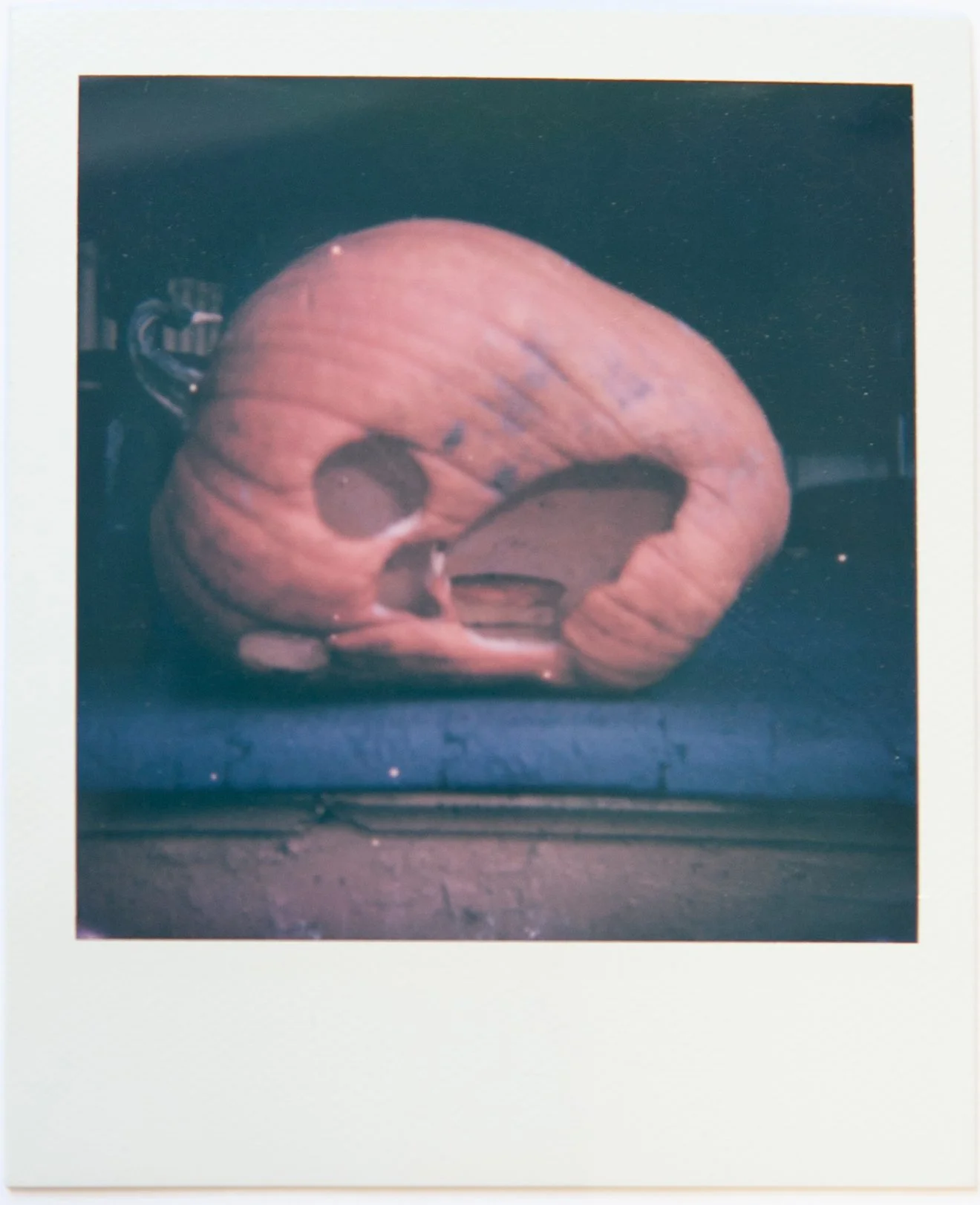POLAROID JUNE-7.jpg