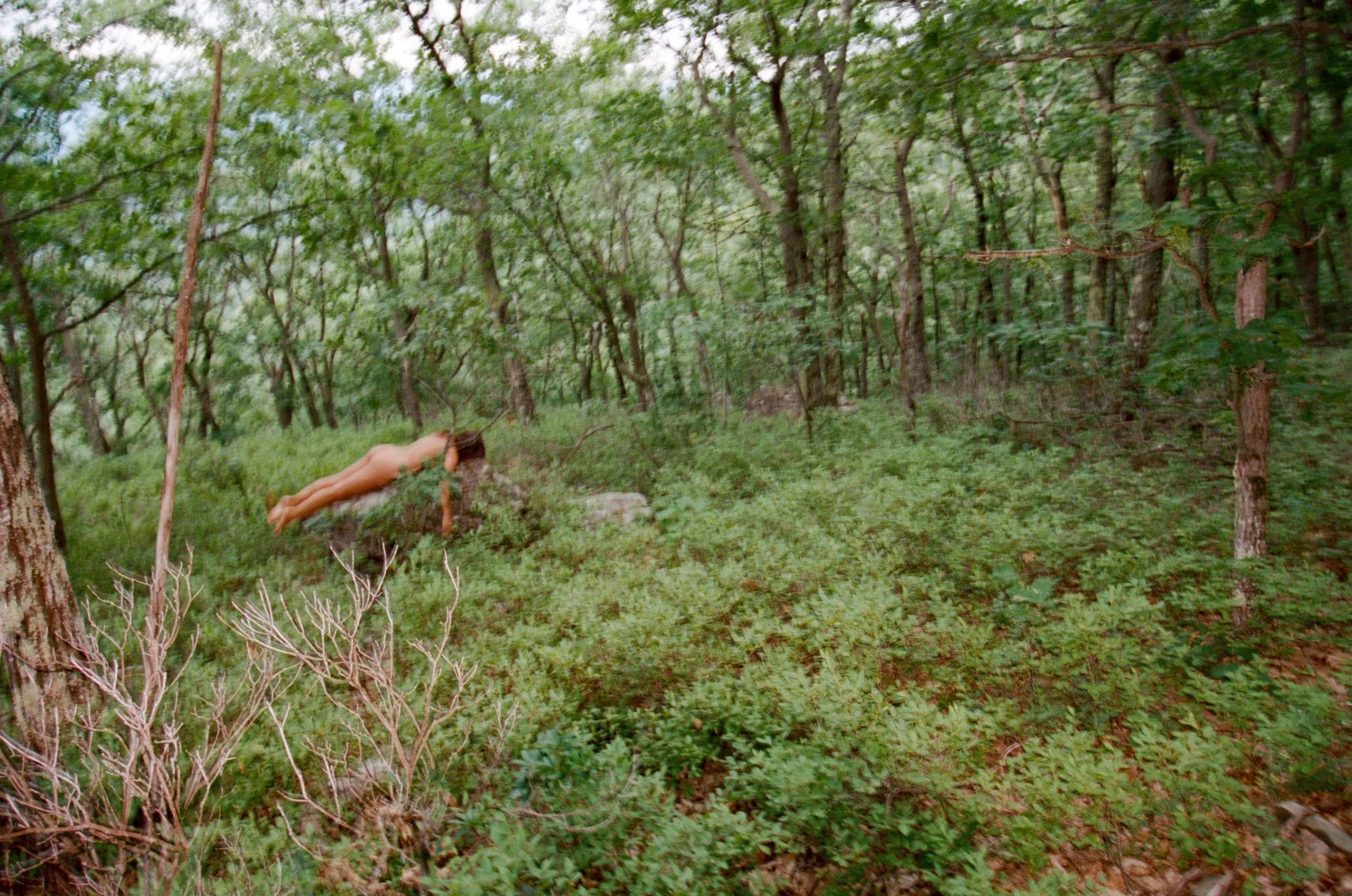 NATURE EAT WOMAN-3.jpg
