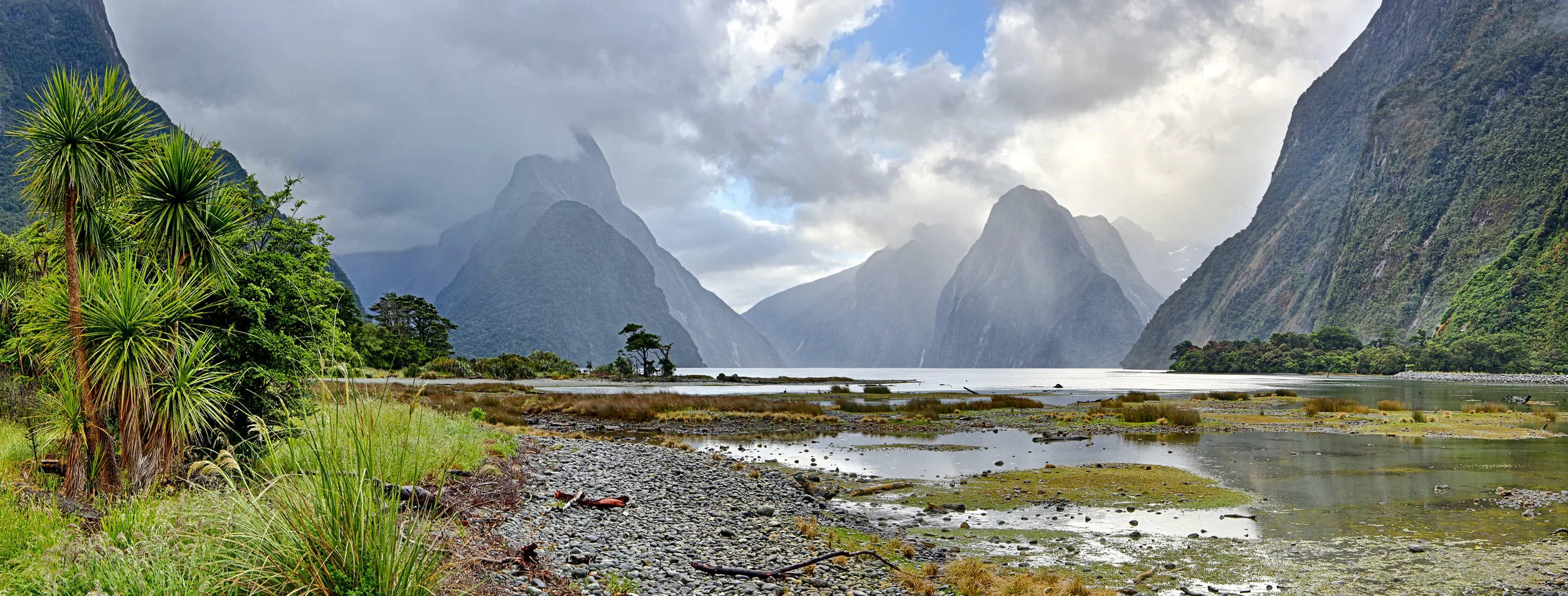 AdobeStock_191512592.jpeg