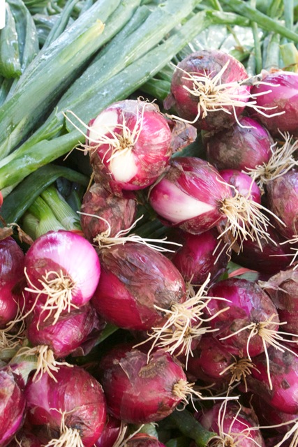 Cooking with the Muse