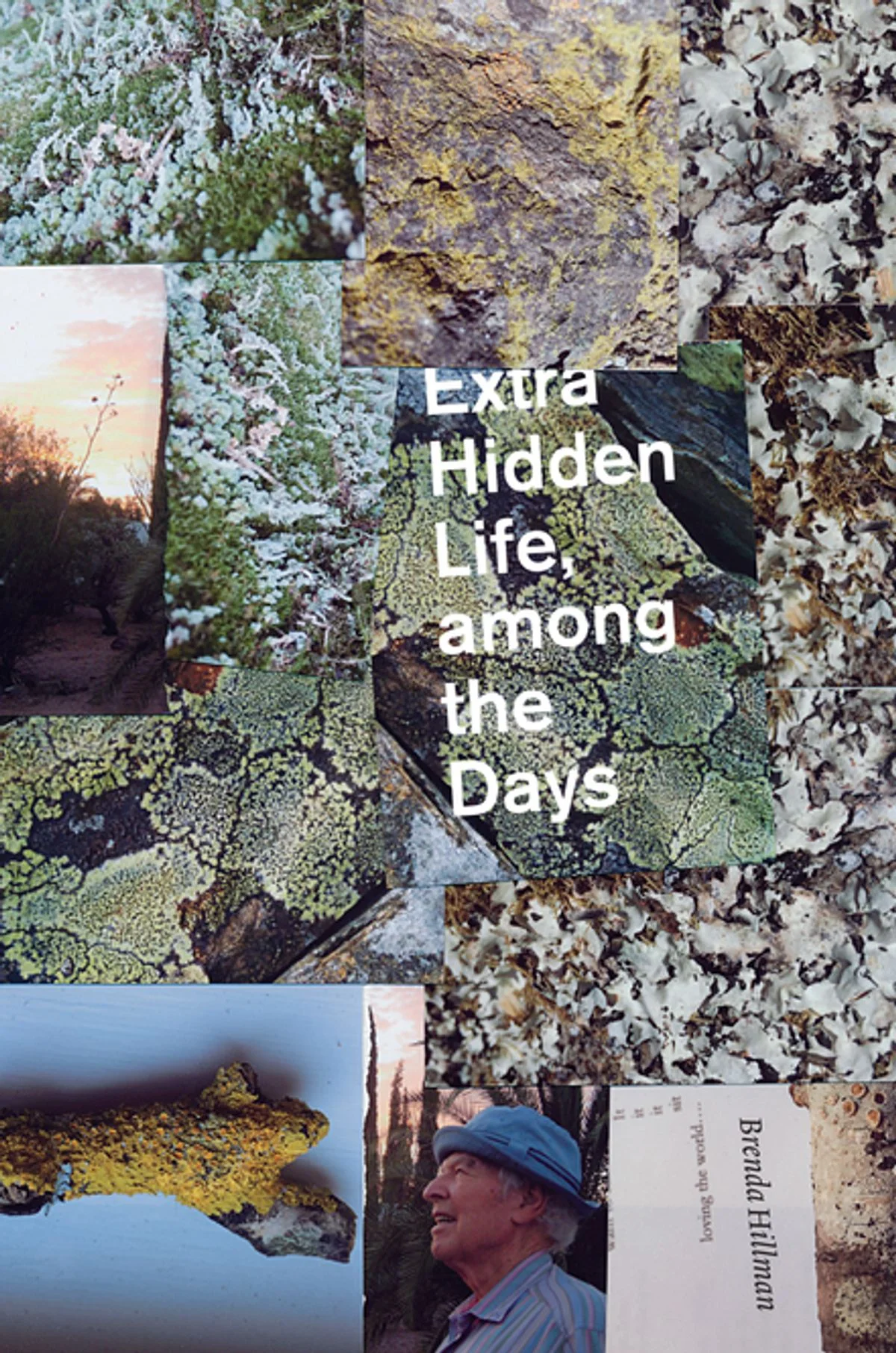 extra-hidden-life-among-the-days.jpg