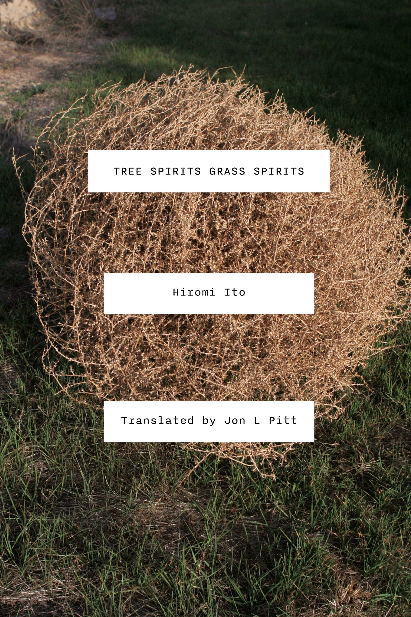 Hiromi Ito’s “Tree Spirits Grass Spirits”