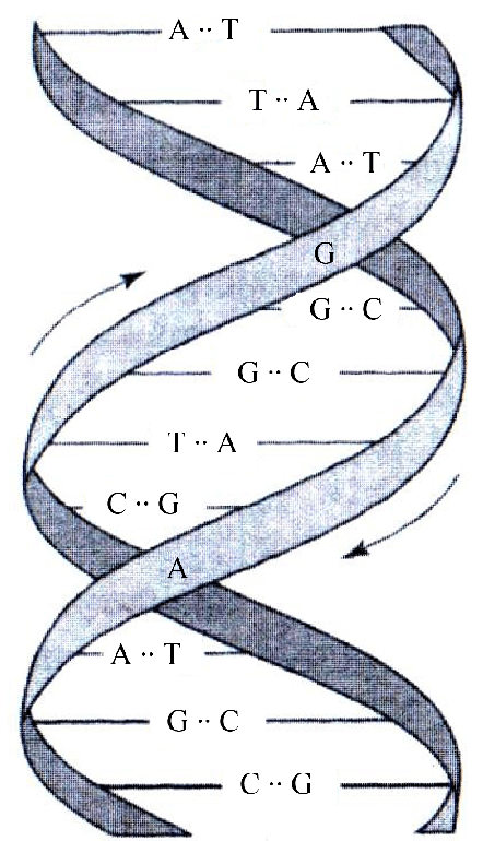 image1.png