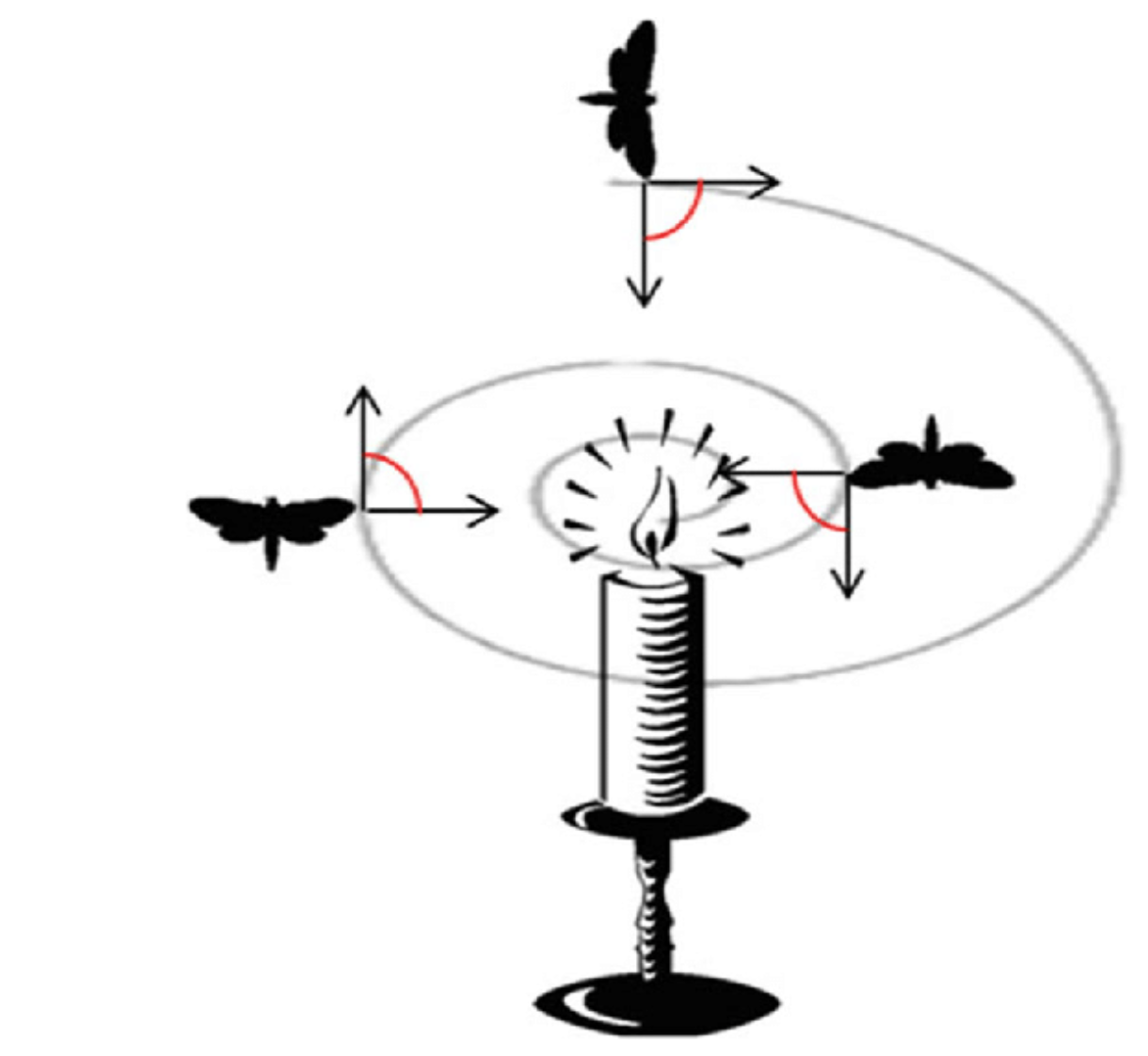 image7.png