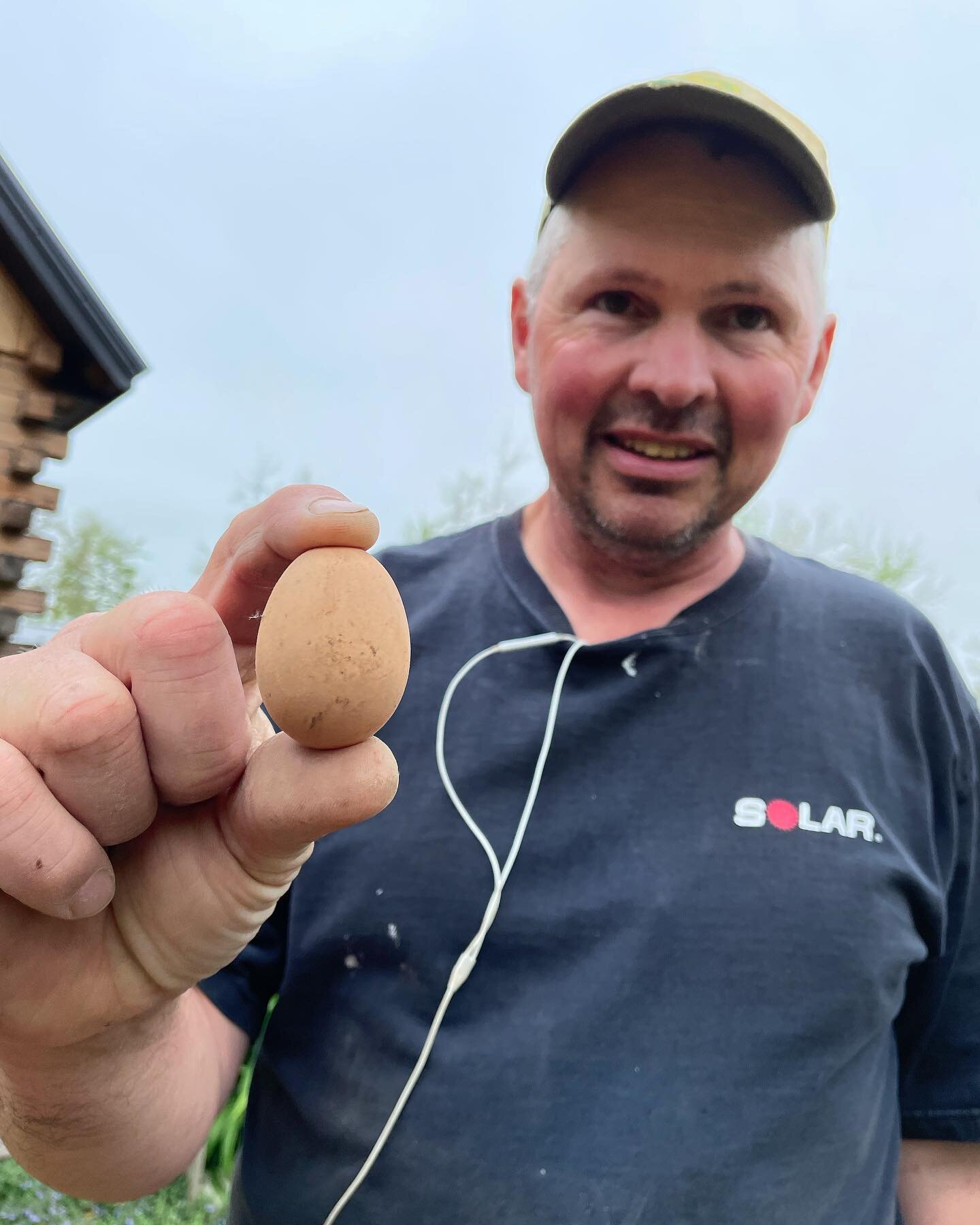 Catch up with Farmer Doug today at the @portlandmefarmersmarket ! He&rsquo;s got yogurt, cheeses, eggs pork and beef.  Heather is off to the other Portland- Oregon! It is conference week for the @american_cheese_society  Let the adventure begin!