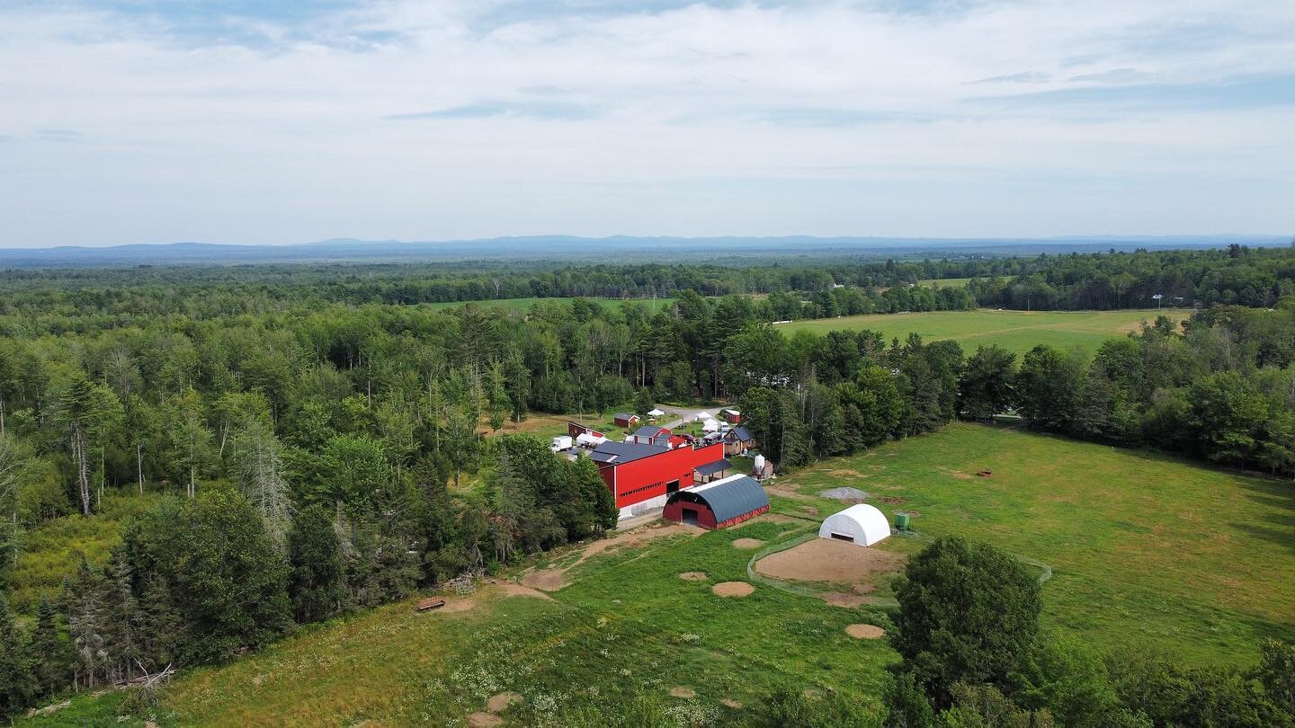 Everything is so green after the rain this week! The break in the weather has been welcome.  Heading to the #portlandmainefarmersmarket tomorrow- Doug will have yogurt, eggs , cheeses and all the pork meats. Need bacon for those BLT sandwiches? We&rs