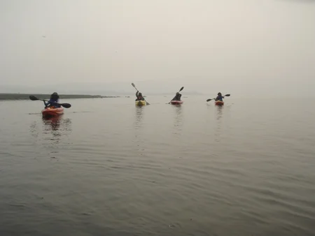 P7270217-web.jpg