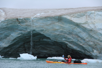 Tidewater glaciers.jpg