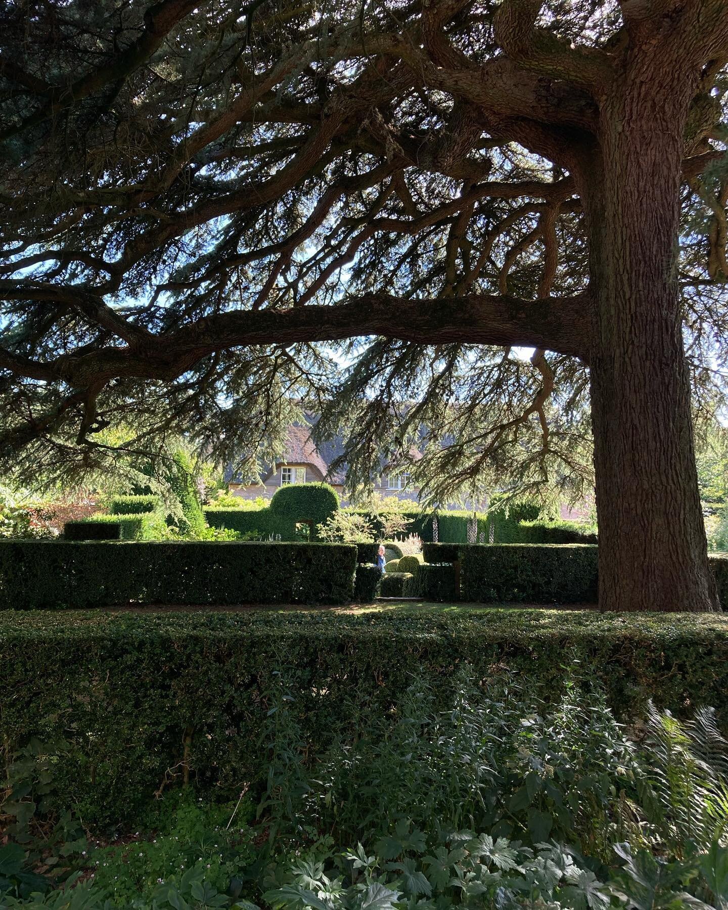 Hidcote Manor Garden - inspiration for many projects&hellip;great to be back again.