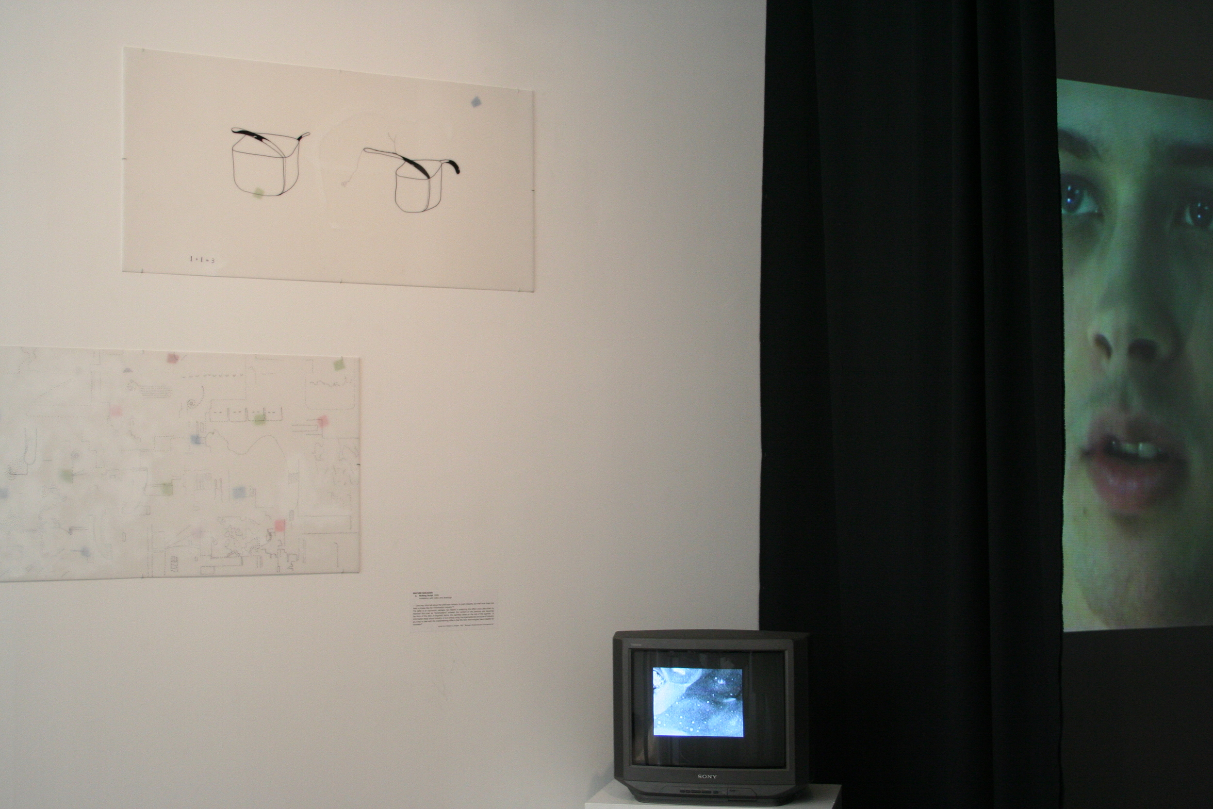  This work consists of a video projection, a loop in monitor and drawings/collage. It's an experiment on viewer perception of different given visual scenes within the cinematic context. Dealing with memory and information, the work questions the natu