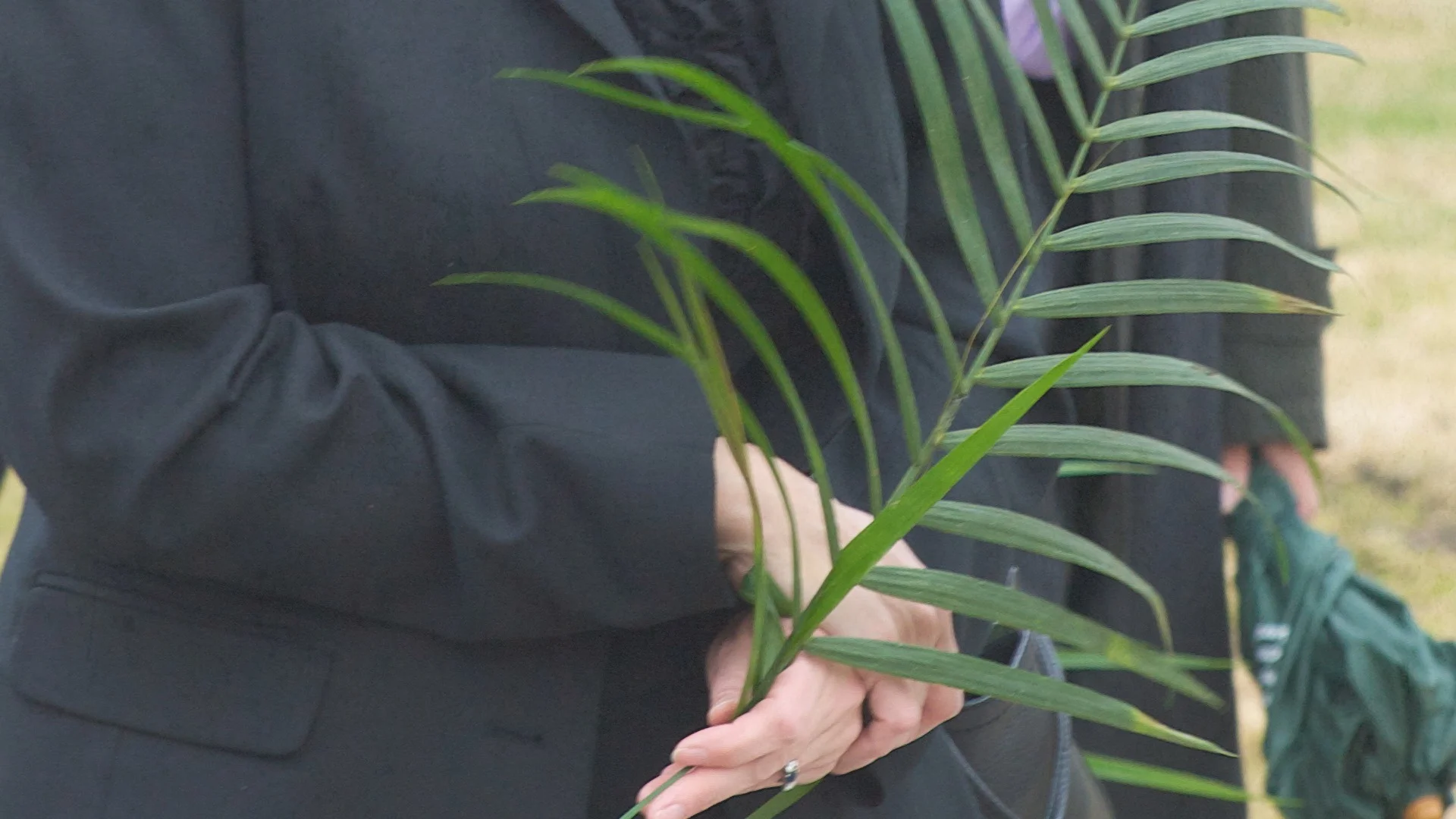 Palm Sunday.jpg