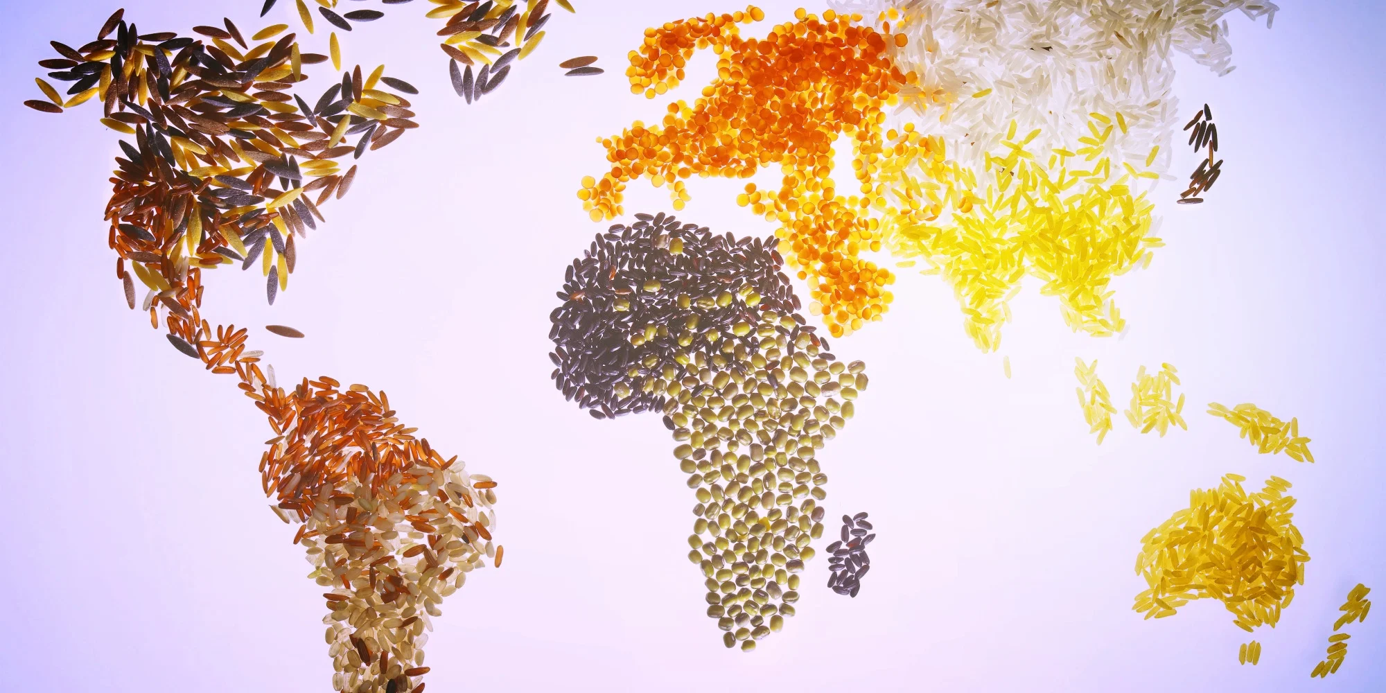 Worship and Lunch & Learn for World Food Day