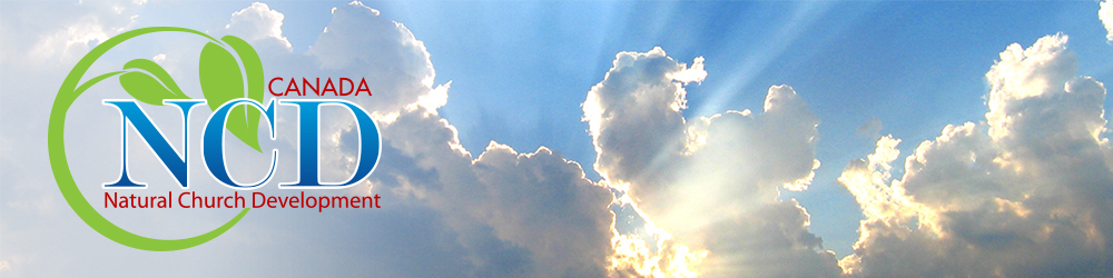 NCD Header.jpg