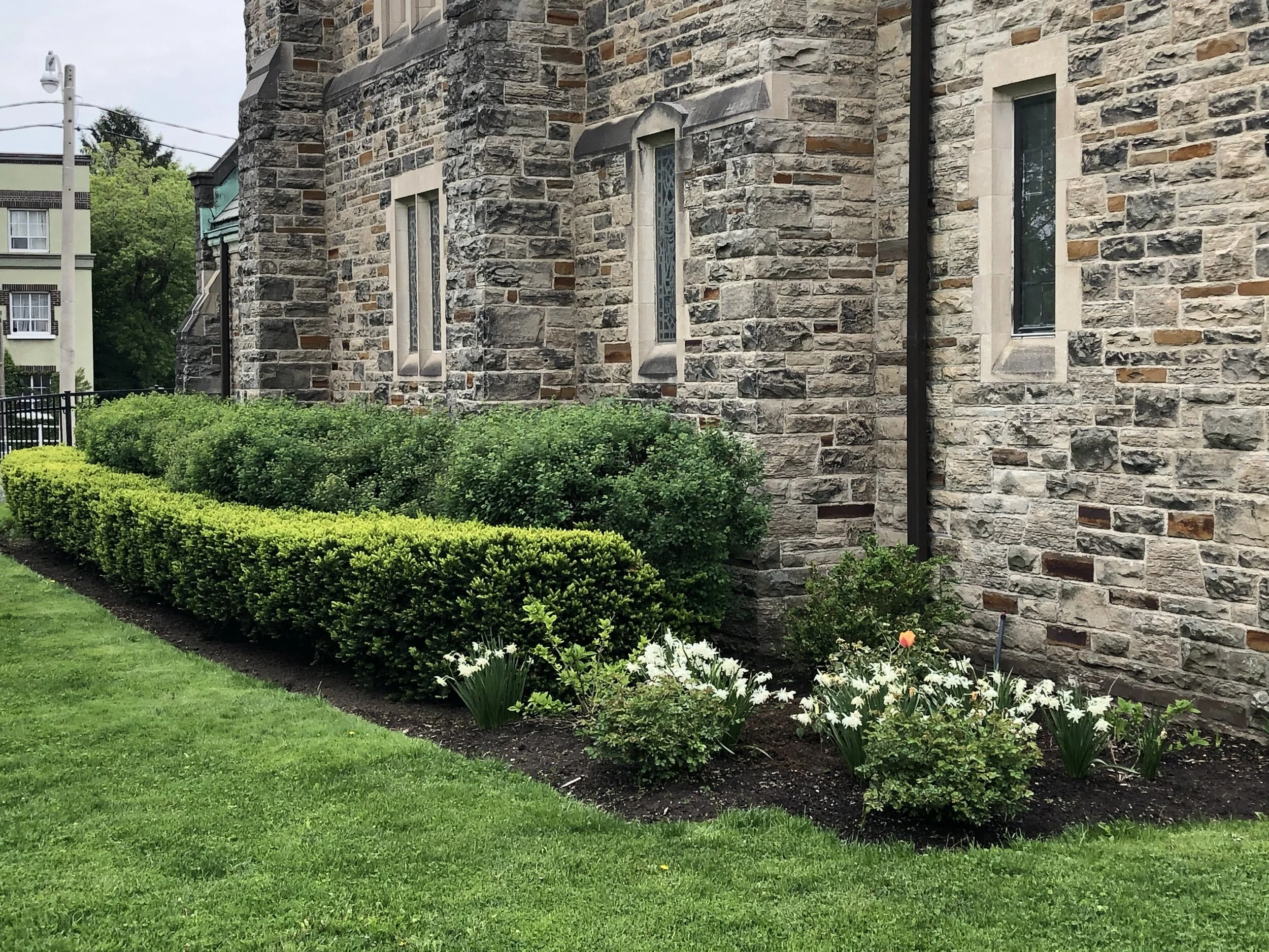 Search Committee Updates