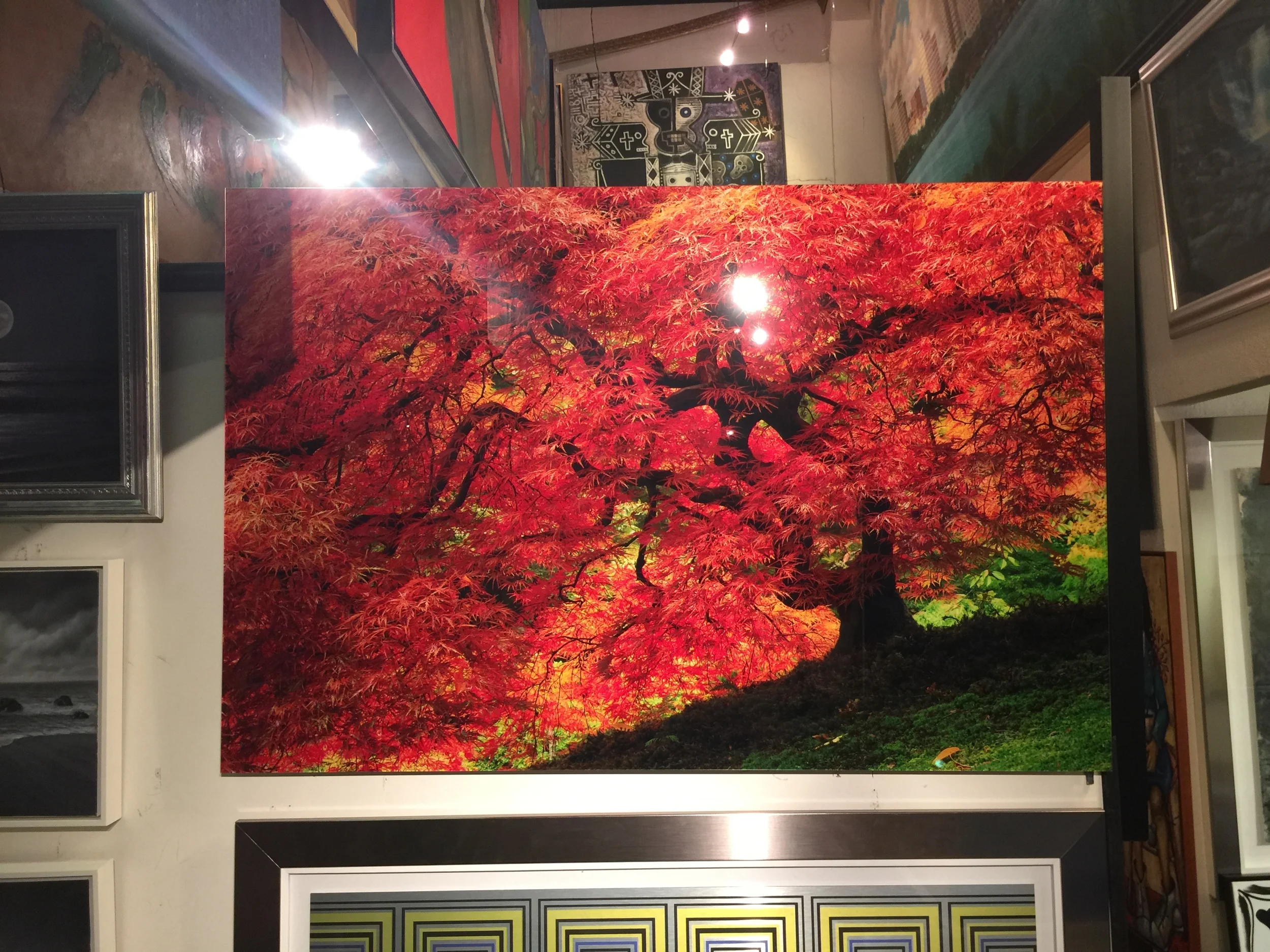 Dibond Plexi Aluminum Backing