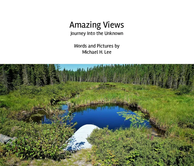 Book and eBook cover