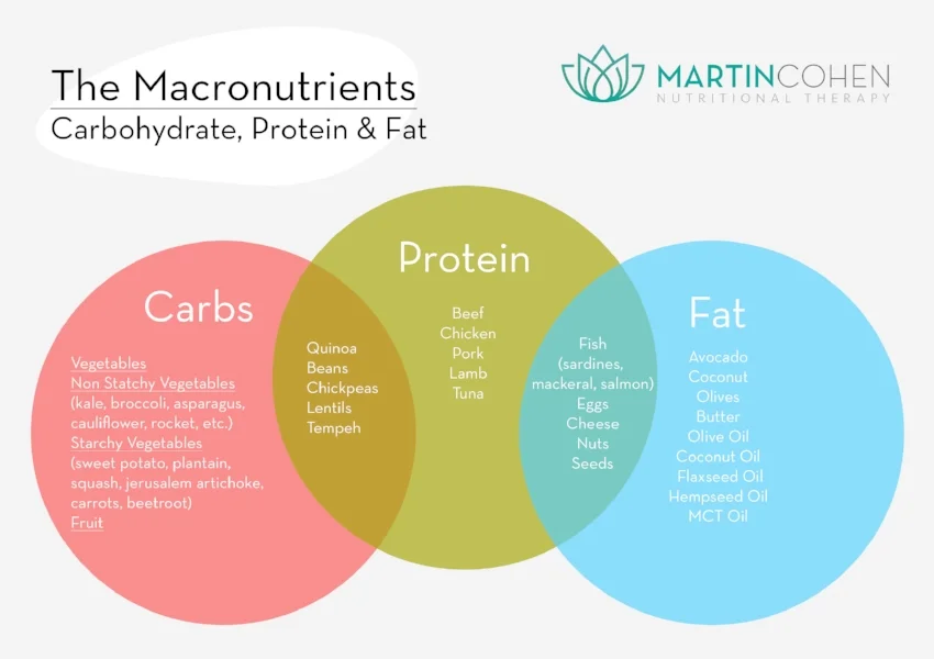 Macronutrient+-+venn+diagram.jpg