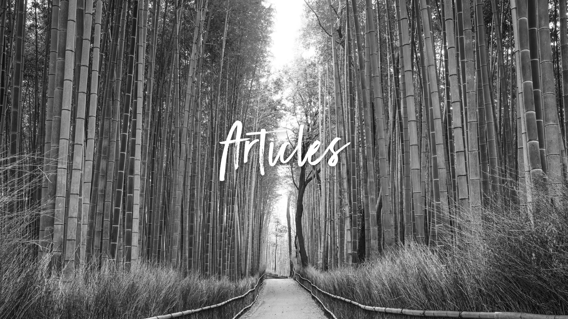 New font banners - keynote.002.jpeg