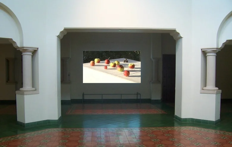 McNay Art Museum, 2010