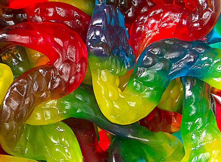 GUMMY SNAKES😃 — Mount Dora Confectionary