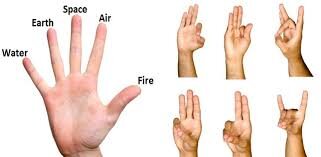 Finges and elements.jpg