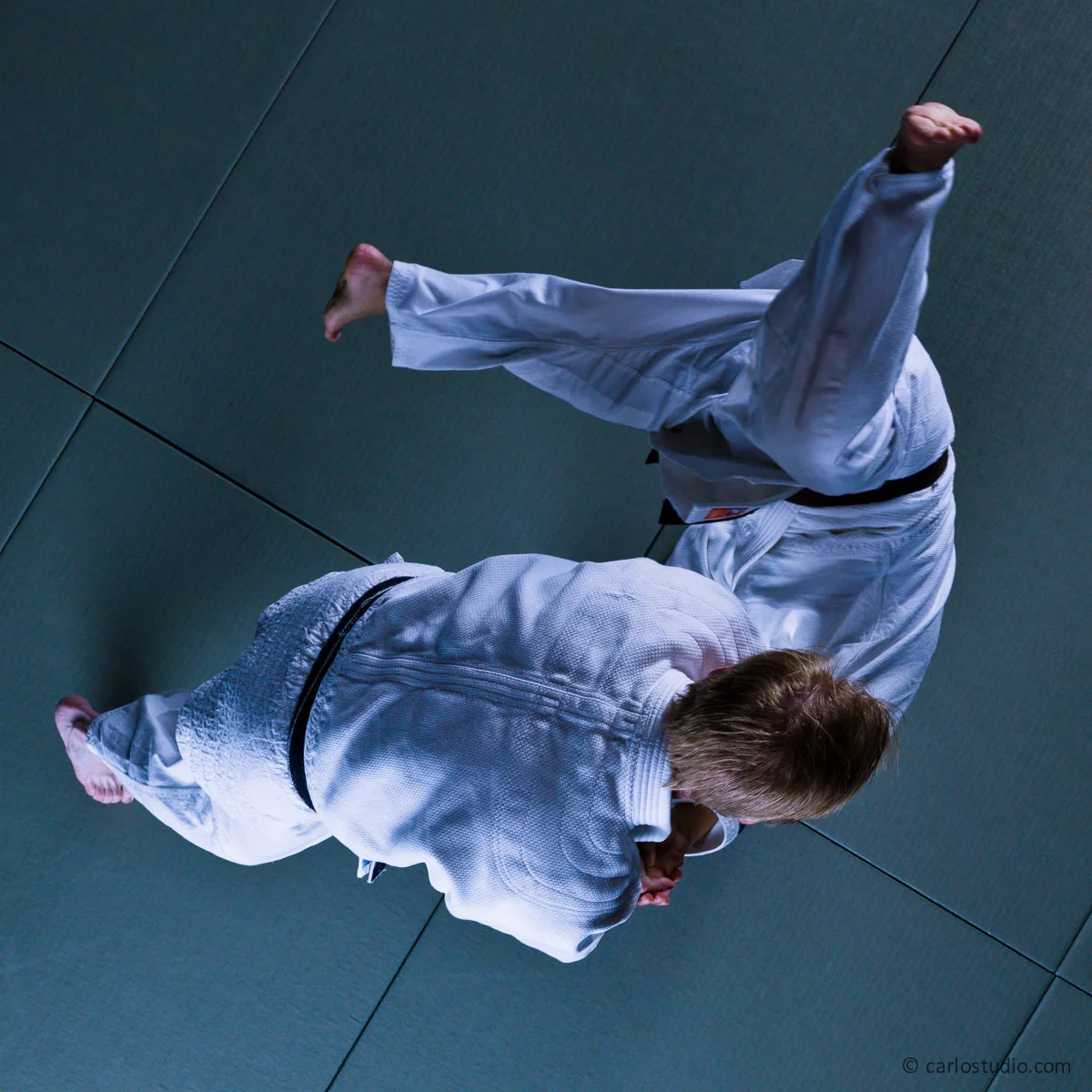 Aikido_0221.jpg