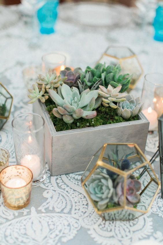 03-a-concrete-box-with-moss-and-succulents-for-a-modern-wedding-centerpiece.jpg