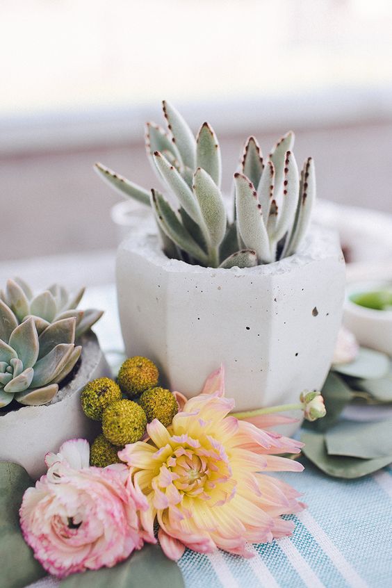 14-faceted-white-concrete-planter-with-a-succulent-can-be-used-for-a-cool-centerpiece.jpg