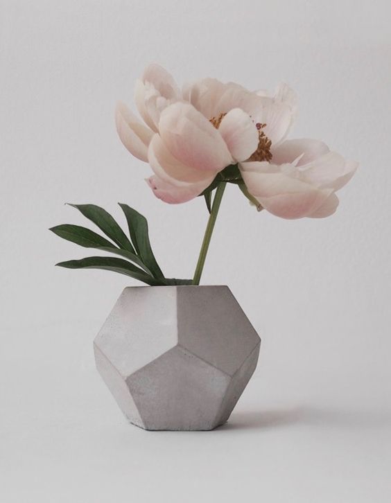 33-faceted-concrete-vase-with-a-single-large-bloom (1).jpg