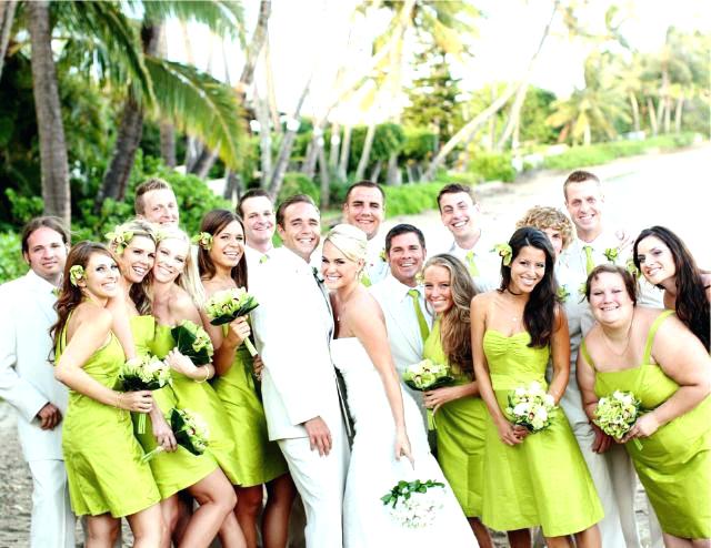 lime-green-wedding-dresses-for-5-stunning-lime-green-chiffon-bridesmaid-dresses-6-72-lime-green-wedding-gown.jpg