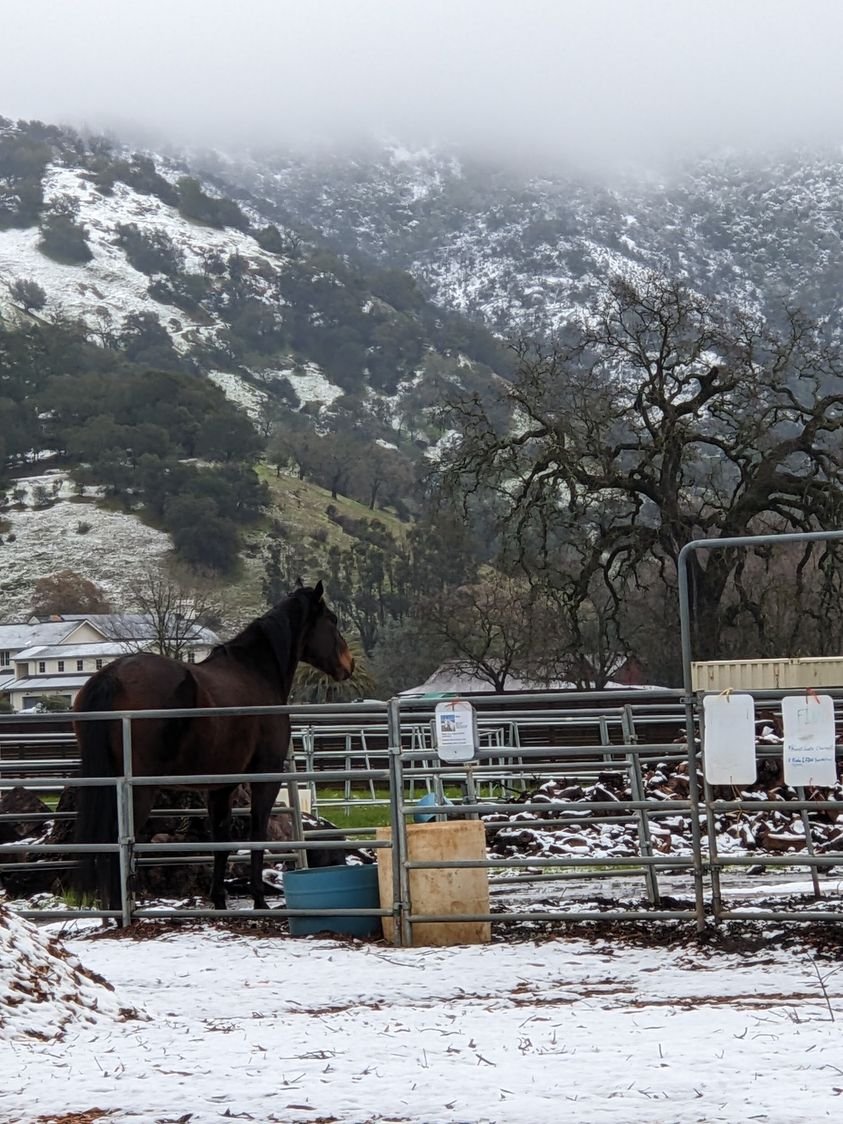 Snow in Calistoga?!