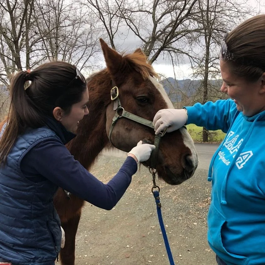 Somebody Needed a Shave and a Haircut