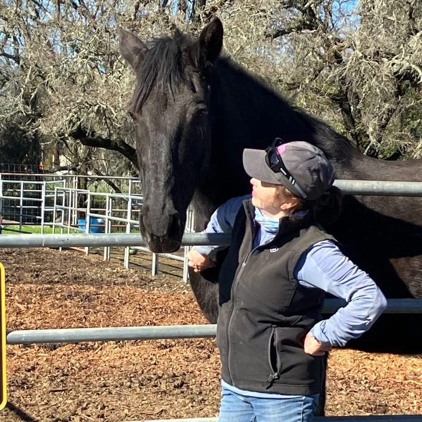 What's my new name again, Paula?&nbsp; Your name is Raven, and you can stay here always.&nbsp;