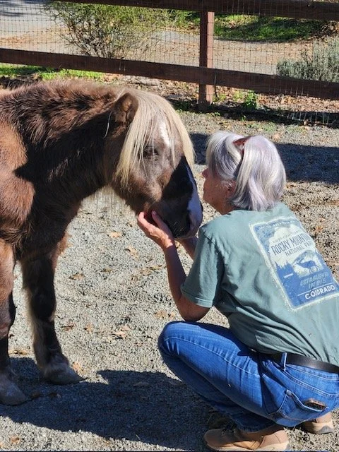 It's been a busy year at Sunrise. Let's catch up!