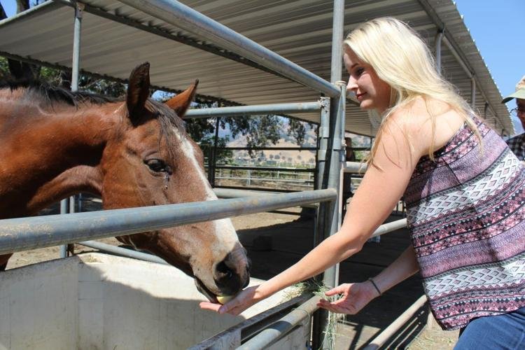 Havasupai horse rescued, finds forever home at Sunrise Horse rescue! —  Sunrise Horse Rescue
