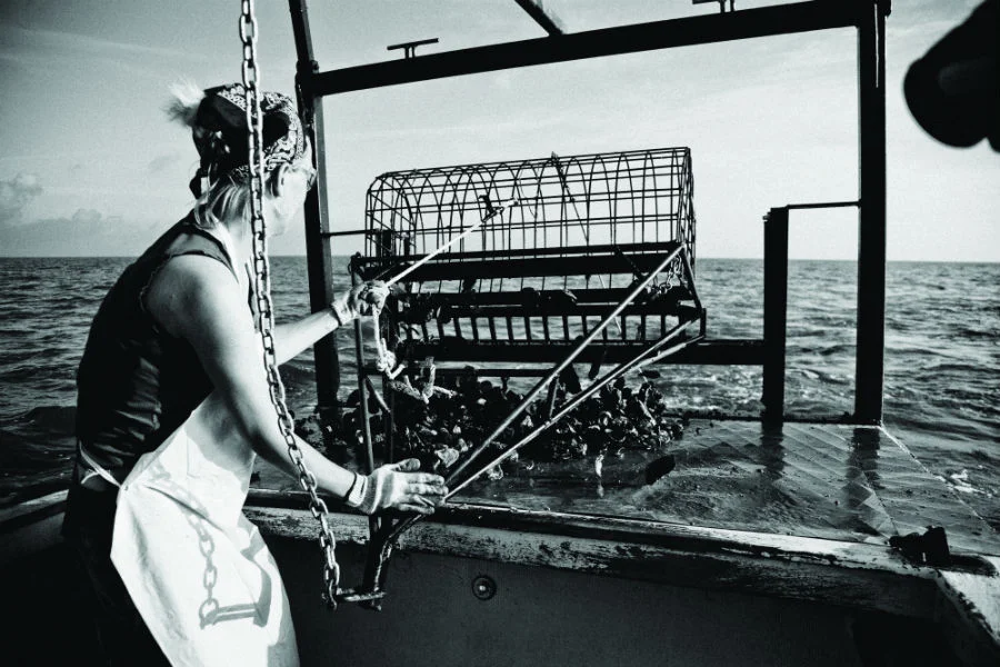 Murder Point Oyster Company is putting Alabama oysters on the map