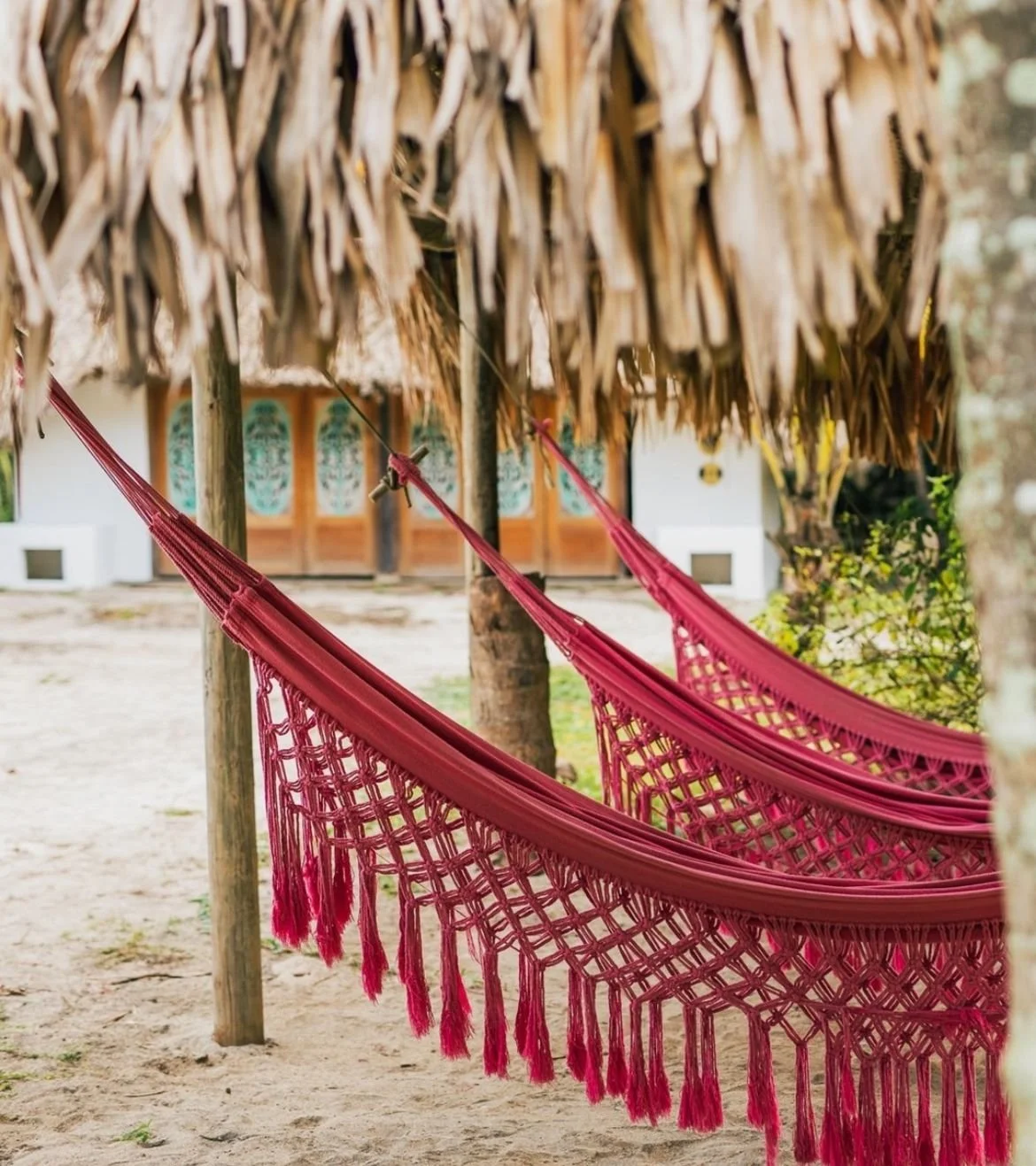 WhatsApp Image 2024-07-19 at 5.31.52 PM.jpg