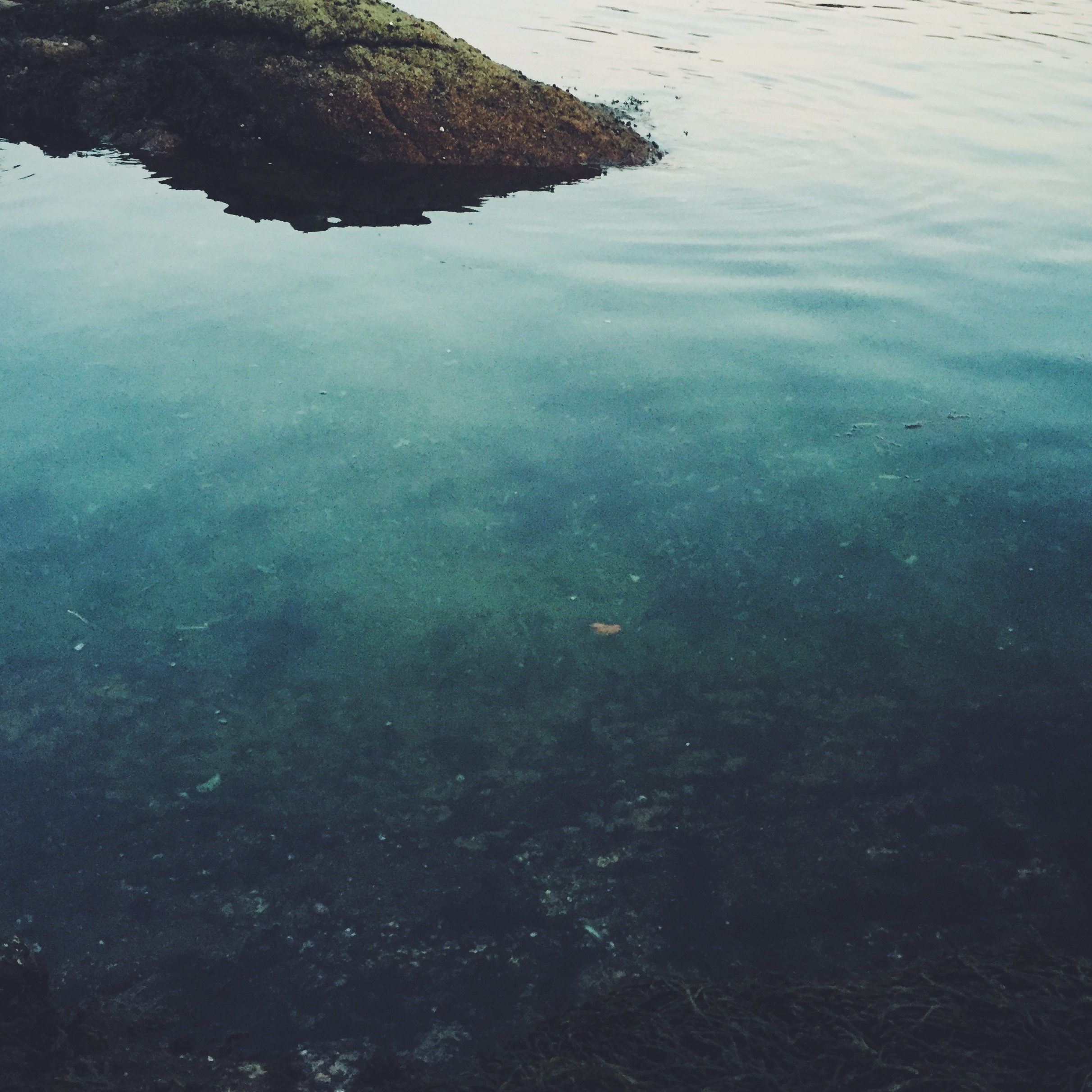 Green Water Harbor, Cliff Kuhn-Lloyd
