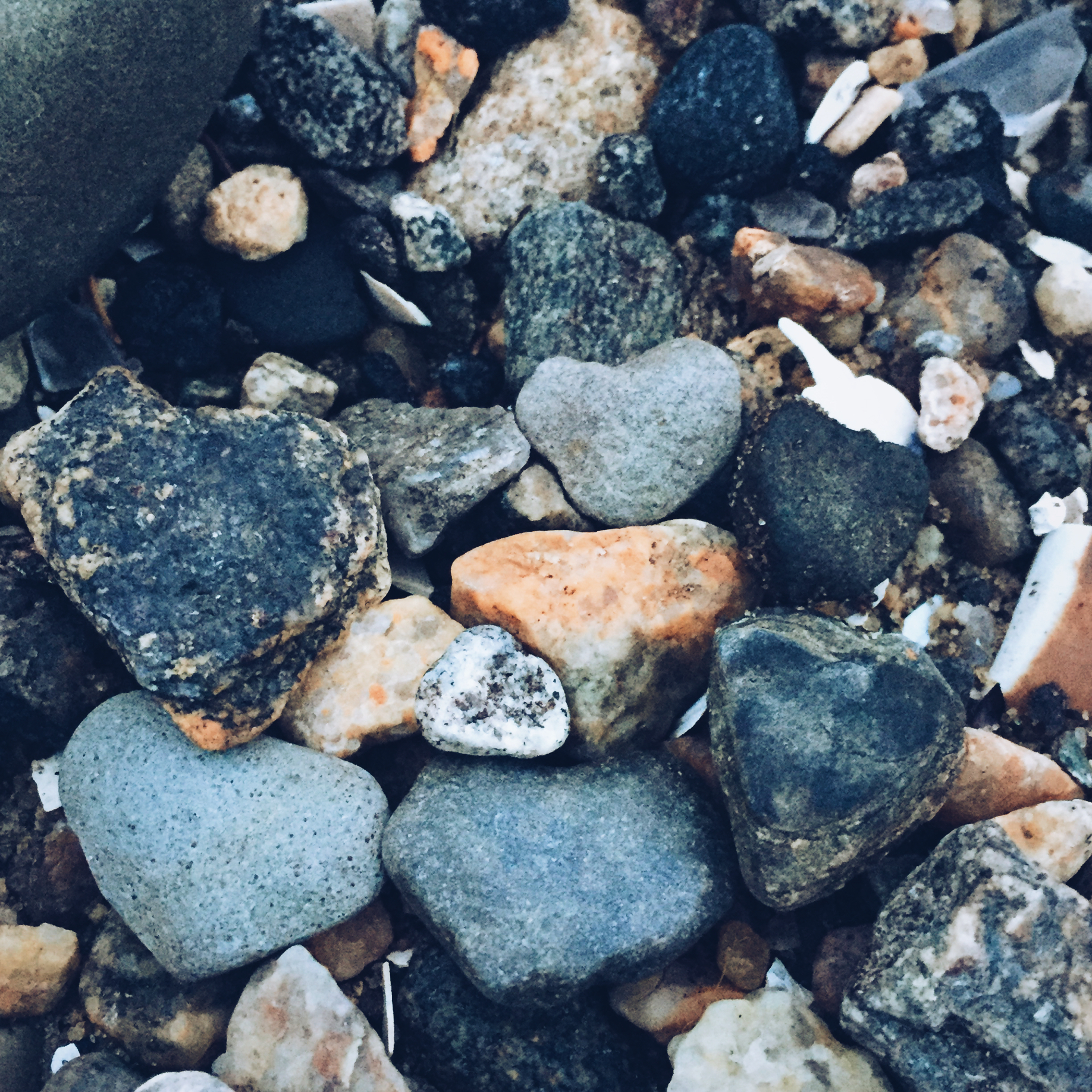 Love rocks, Cliff Kuhn-Lloyd