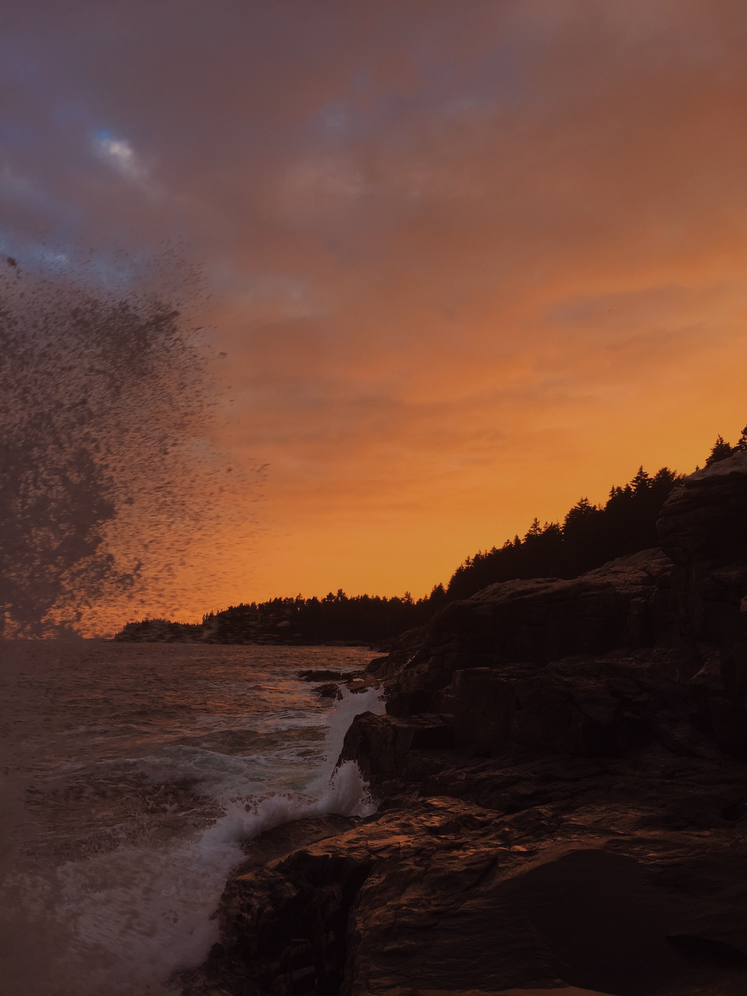 Sunlight Sea Rain, Cliff Kuhn-Lloyd