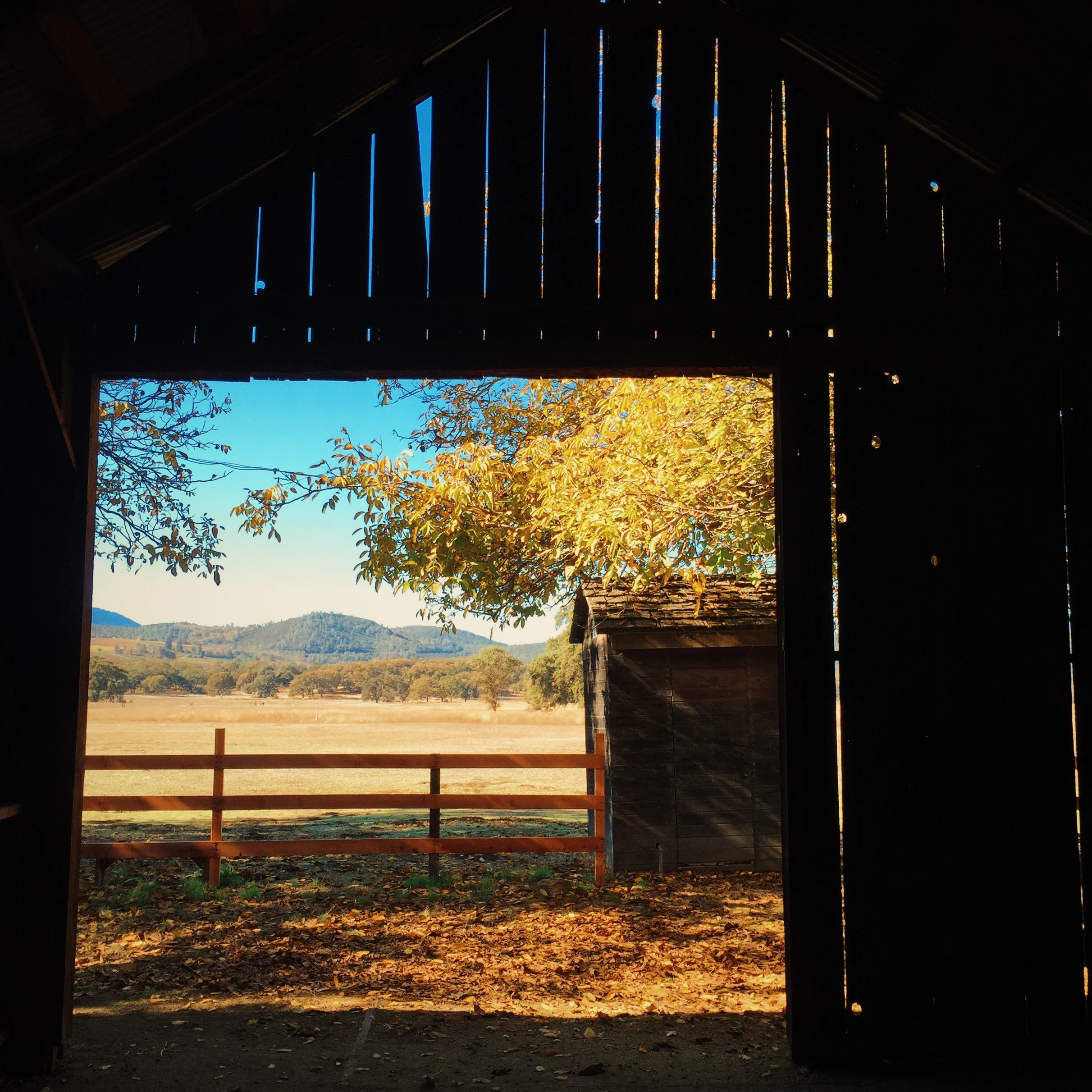 The American Farm of the Anderson's, Cliff Kuhn-Lloyd