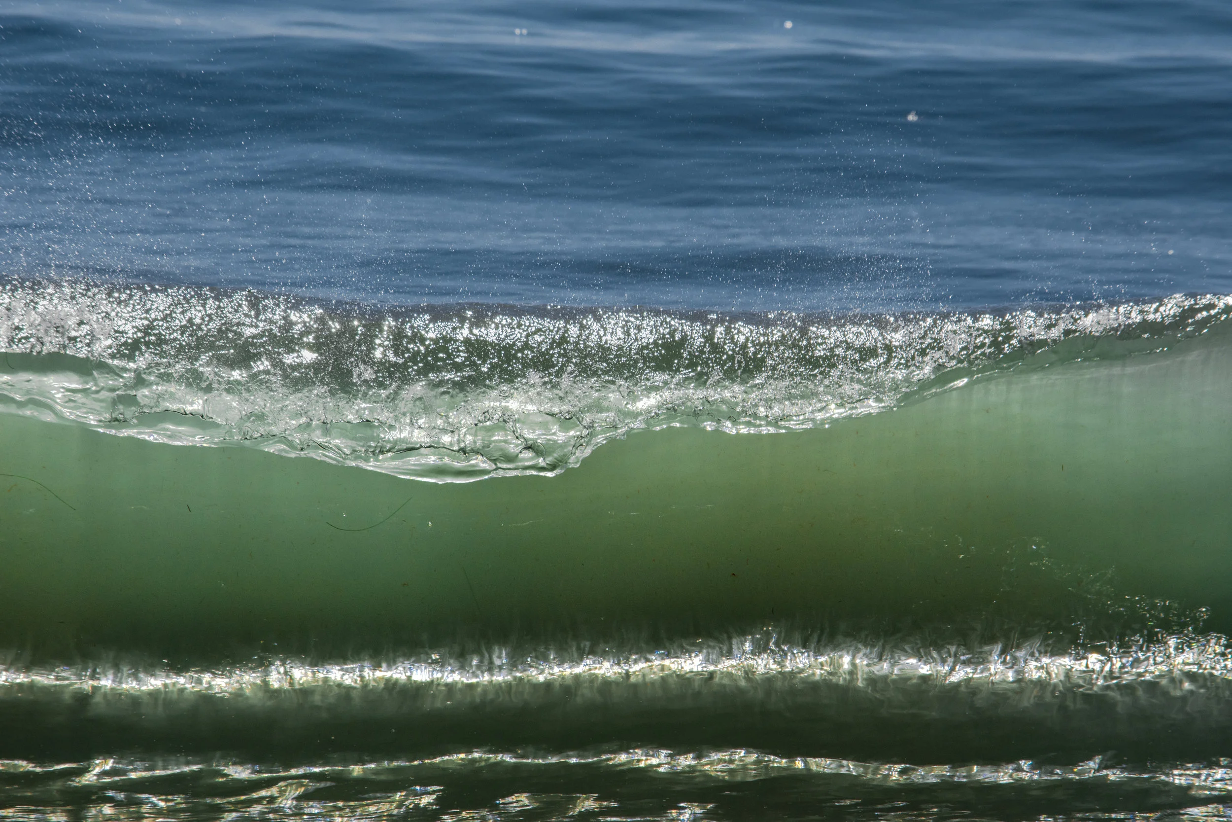DSC_8934.jpg