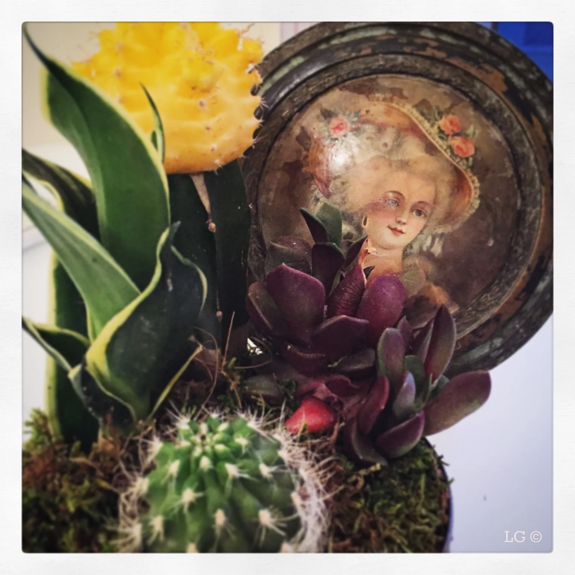 VICTORIAN POWDER BOX