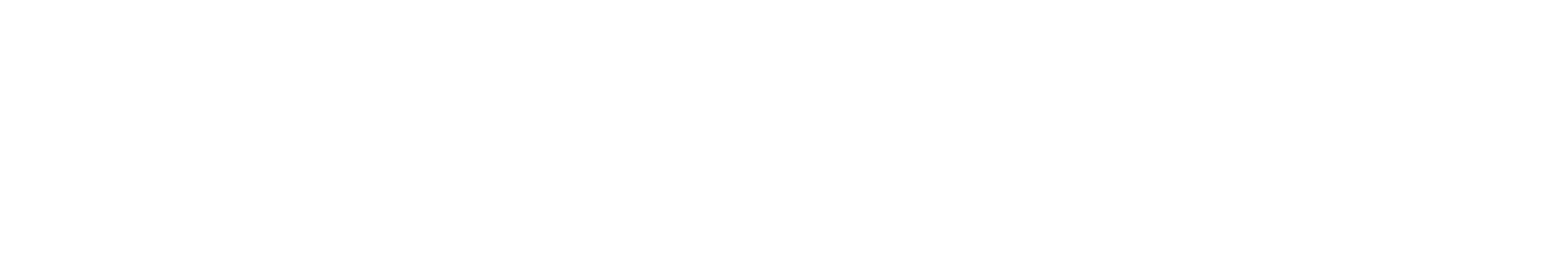 Nagel-und-Kimche.png