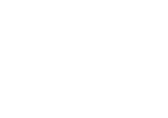 DTV_Verlag.png