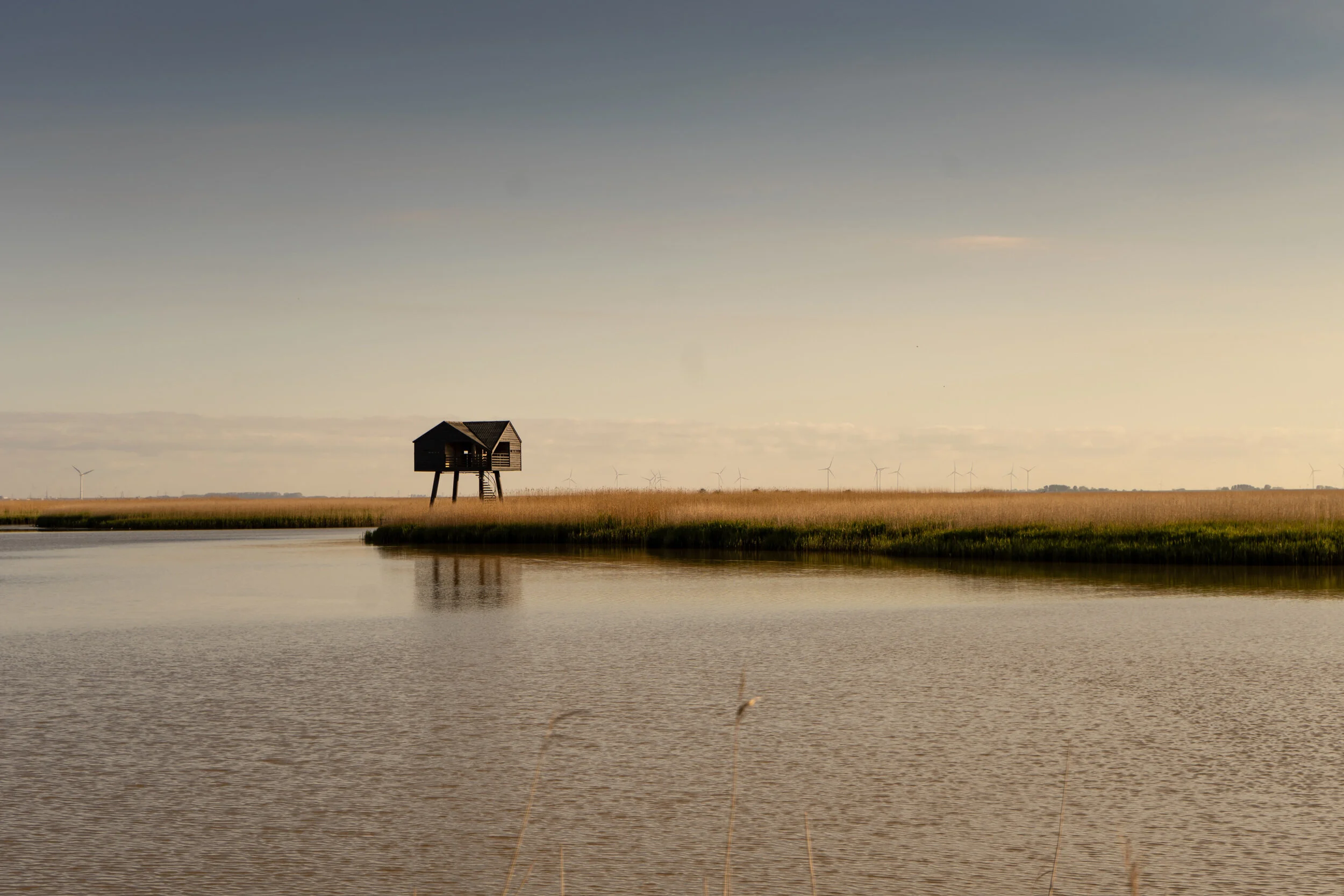 jesse-huisman--fbYQryBwi8-unsplash_2500.jpg