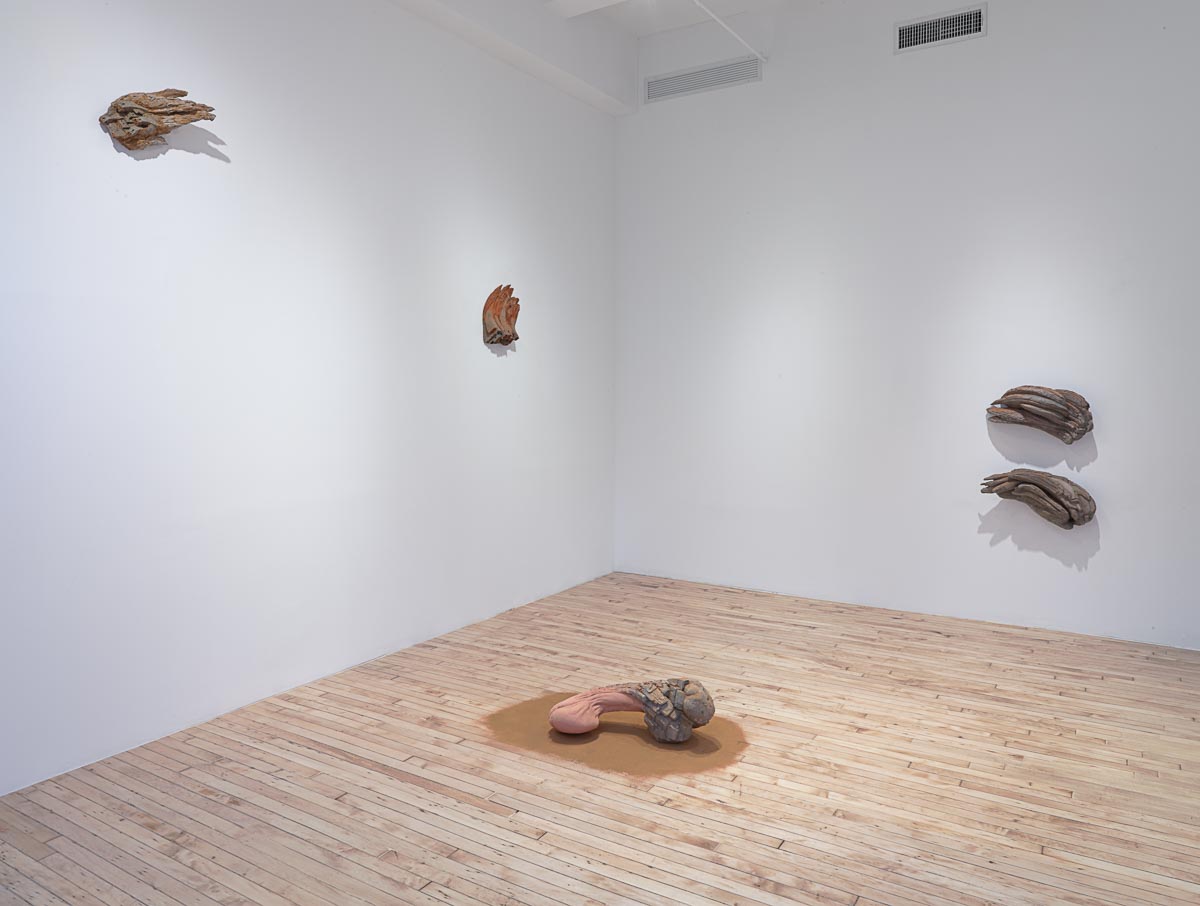 View of the gallery’s installment of Charles Simmond’s organic sculptures.